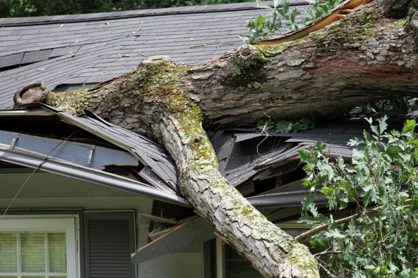 Storm Remediation in Odessa