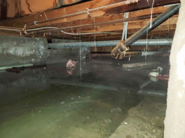 Water Mitigation Service in Odessa